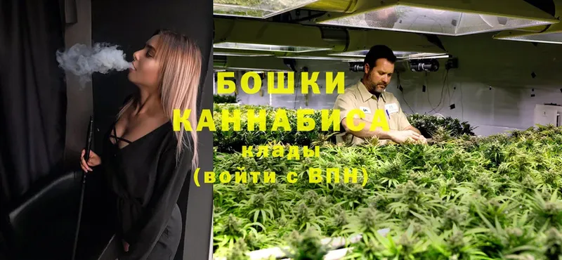 Шишки марихуана White Widow  Балашов 